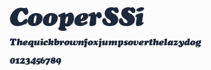 Cooper SSi預覽圖