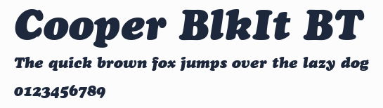 Cooper BlkIt BT預覽圖