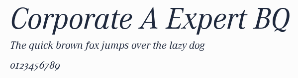 Corporate A Expert BQ預覽圖
