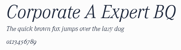 Corporate A Expert BQ預覽圖