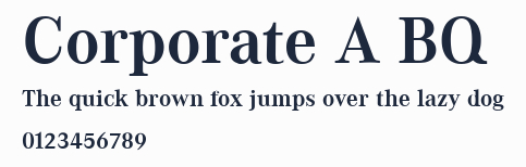 Corporate A BQ預覽圖