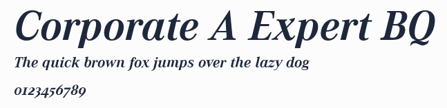 Corporate A Expert BQ預覽圖