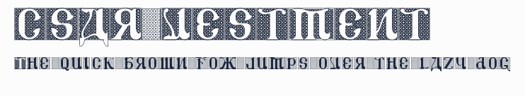 CSAR VESTMENT預覽圖