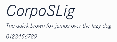 CorpoSLig預覽圖
