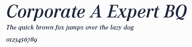 Corporate A Expert BQ預覽圖