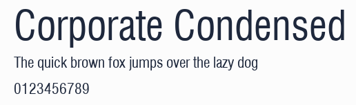 Corporate Condensed預覽圖