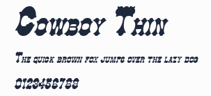Cowboy Thin預覽圖
