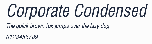 Corporate Condensed預覽圖