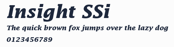 Insight SSi預覽圖