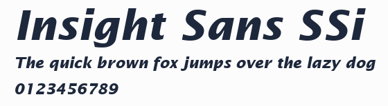 Insight Sans SSi預覽圖