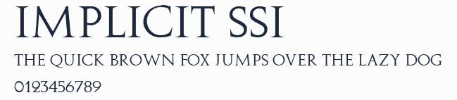 Implicit SSi預覽圖
