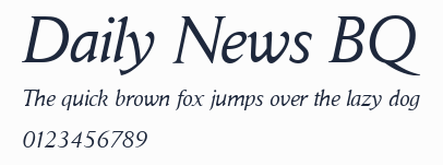 Daily News BQ預覽圖