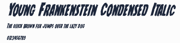 Young Frankenstein Condensed Italic