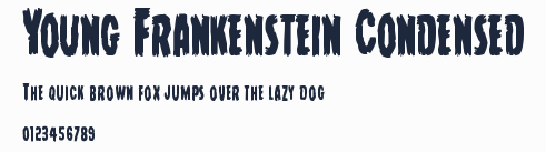 Young Frankenstein Condensed