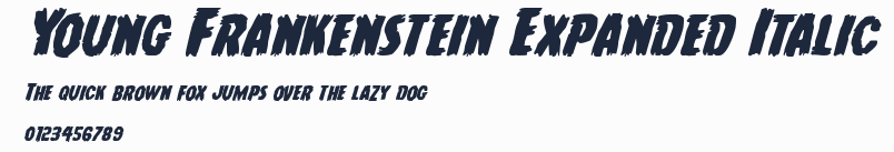 Young Frankenstein Expanded Italic