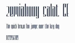 zemiakovy salat CE預覽圖