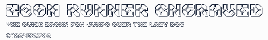 Zoom Runner Engraved預覽圖