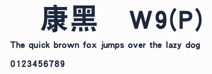 華康黑體W9(P)