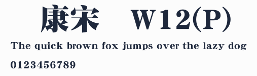 華康宋體W12(P)