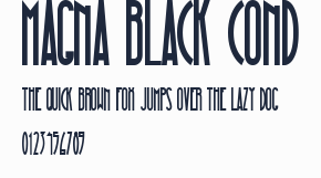 Magna Black Cond預覽圖