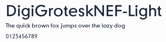 DigiGroteskNEF-Light