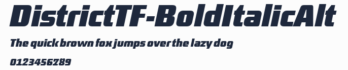 DistrictTF-BoldItalicAlt