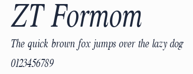 ZT Formom預覽圖