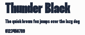 Thunder Black預覽圖
