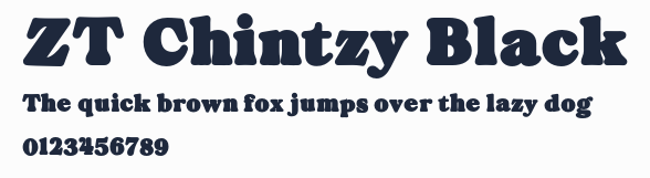 ZT Chintzy Black預覽圖