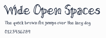 Wide Open Spaces預覽圖