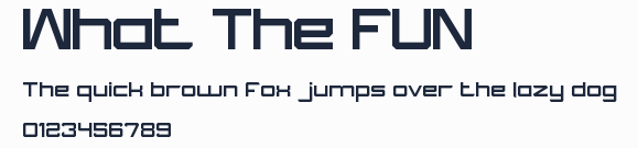 What The FUN預覽圖