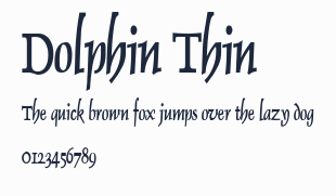 Dolphin Thin預覽圖