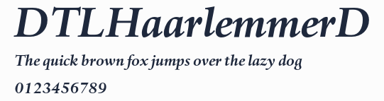 DTLHaarlemmerD預覽圖