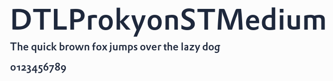 DTLProkyonSTMedium預覽圖