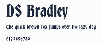 DS Bradley預覽圖