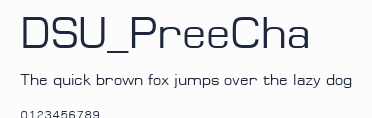 DSU_PreeCha預覽圖