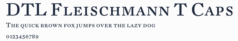 DTL Fleischmann T Caps預覽圖