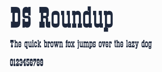 DS Roundup預覽圖