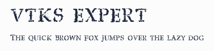 vtks expert預覽圖