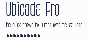 Ubicada Pro預覽圖