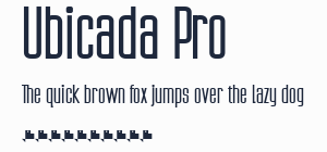 Ubicada Pro預覽圖