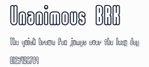 Unanimous BRK預覽圖