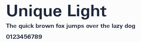 Unique Light預覽圖