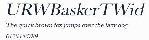 URWBaskerTWid