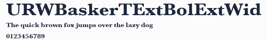 URWBaskerTExtBolExtWid
