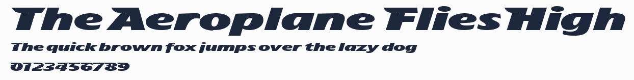 The Aeroplane Flies High