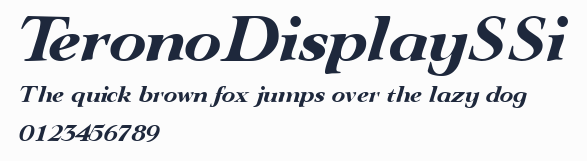 TeronoDisplaySSi