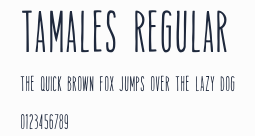 Tamales Regular