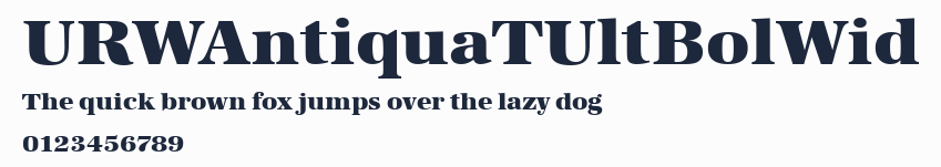 URWAntiquaTUltBolWid