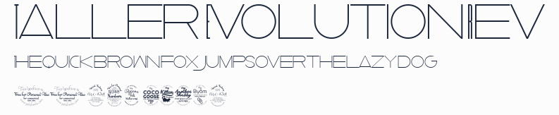 Taller  Evolution Rev